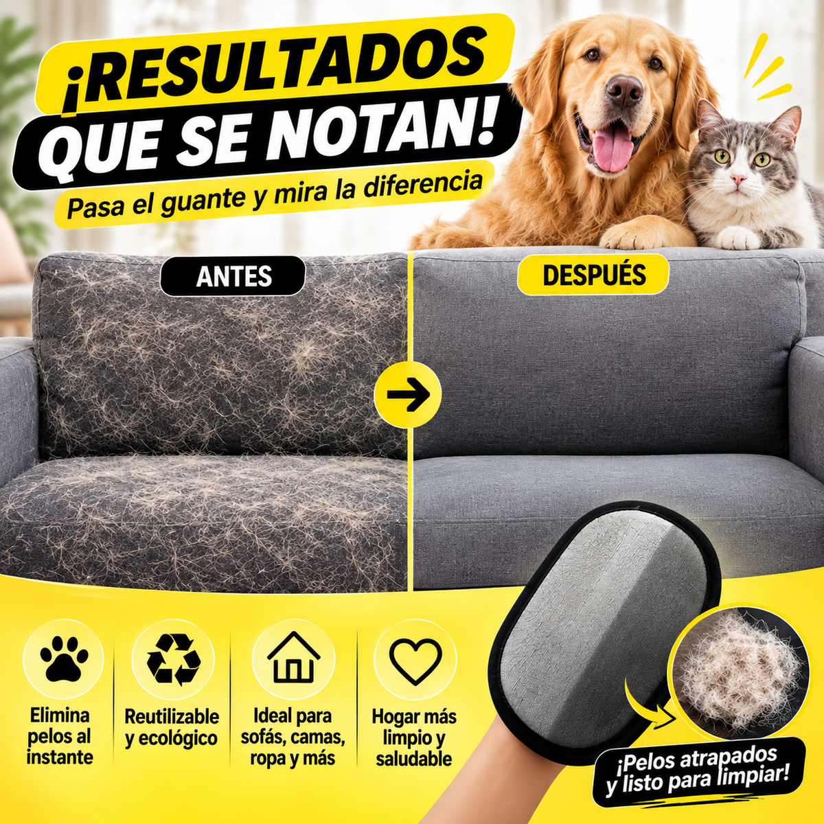 PetGlove Pro™- PACK 2 Guante Removedor Pelo 2 En 1